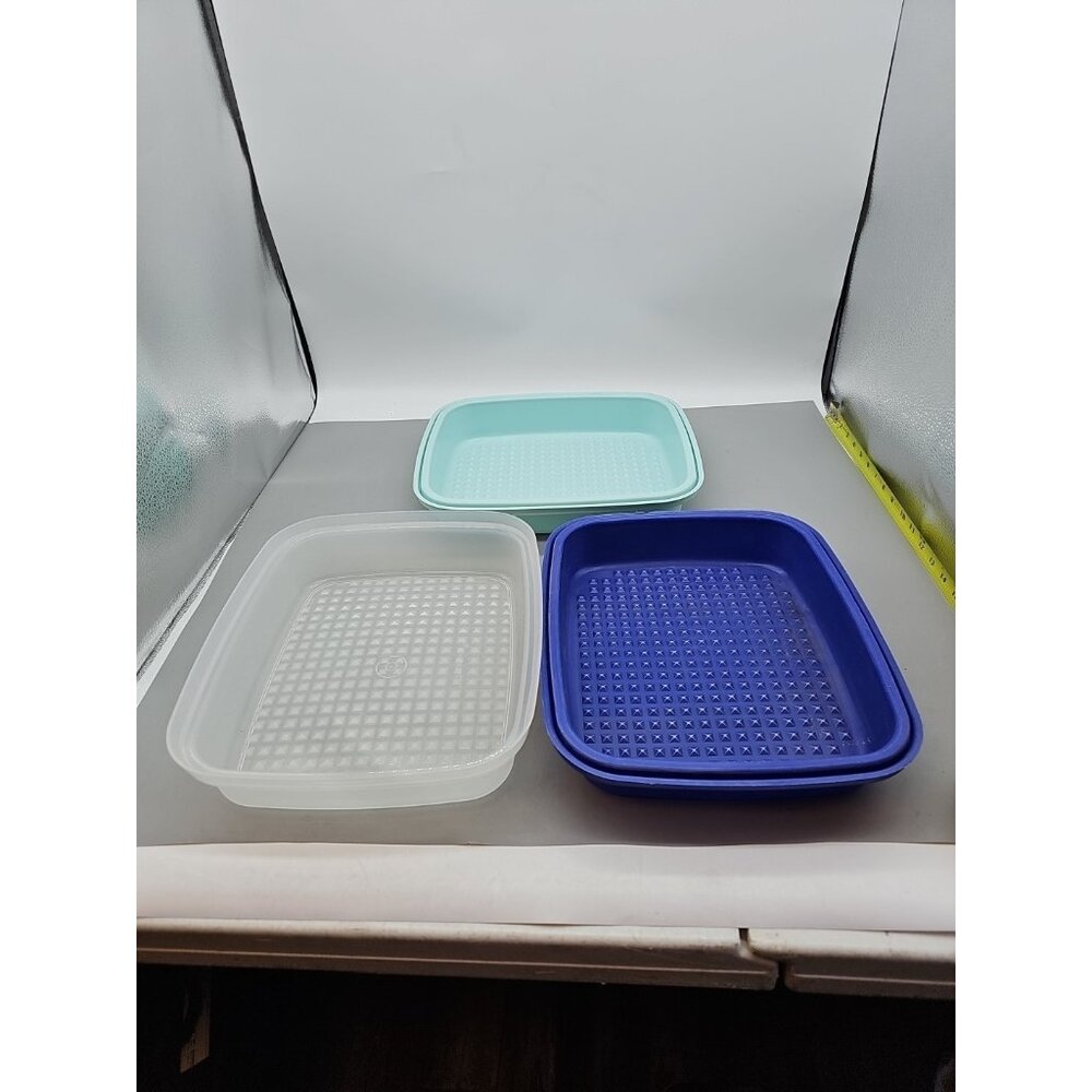 Vintage Tupperware Blue Season Serve Meat Marinade Container‎ 2 Lids